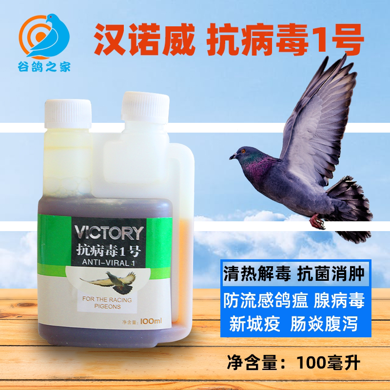 Hanover dove drug pigeon's new city of plague potion of green then adenovirus flu Cystic Pigeon Drug Big All Common Disease