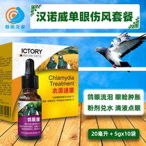 Hannover Chlamydia Chlamydia Chlamydia Dove Dove Pigeon Bird Pigeon Single Eye Cold Medicine Large Total Common Disease Safe Medication