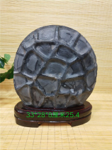 Turtle stone natural original stone ornaments Yingde stone Rolling Stone Taihu stone ornamental stone stone stone stone