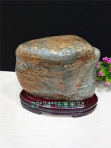 Boutique Guizhou Qing Guangxi big fossil original stone stone stone stone collection ornaments Lingbi stone ornamental stone ornamental stone