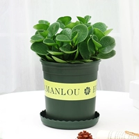 Douban Green Callicraphy Pot