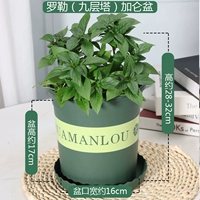 LALER (девятисторная башня) Галлон бассейн