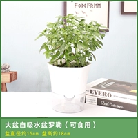 [Laler] Da Pot Hexagonal Lazy Person Self -Absorbing Basin для отправки удобрений