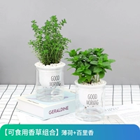 Хорошее кормление мяты+bailei xiang] ленивый самопоглощающий бассейн для отправки удобрений