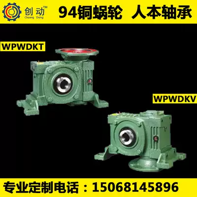 Worm gear reducer WPWDKT WPWDKV 147 155 175 200 250 Reducer