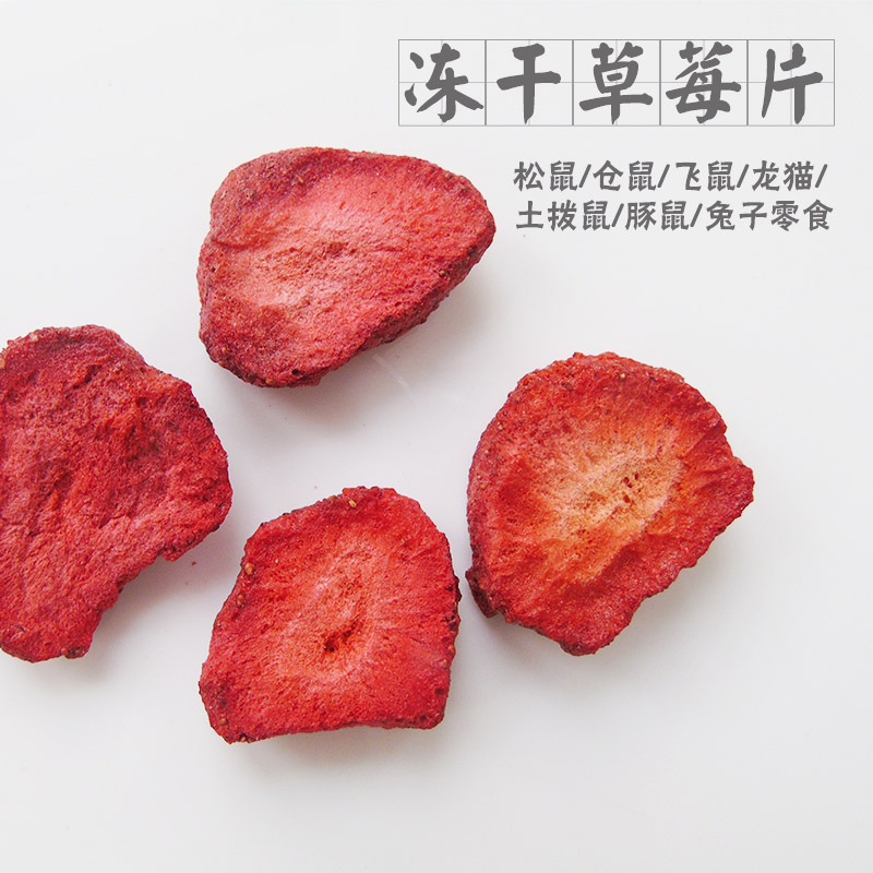 19 9) Squirrel Harden Gold Bear Dragon Cat Snacks Frozen Dry Dry Fruit Dry Fruit Dry