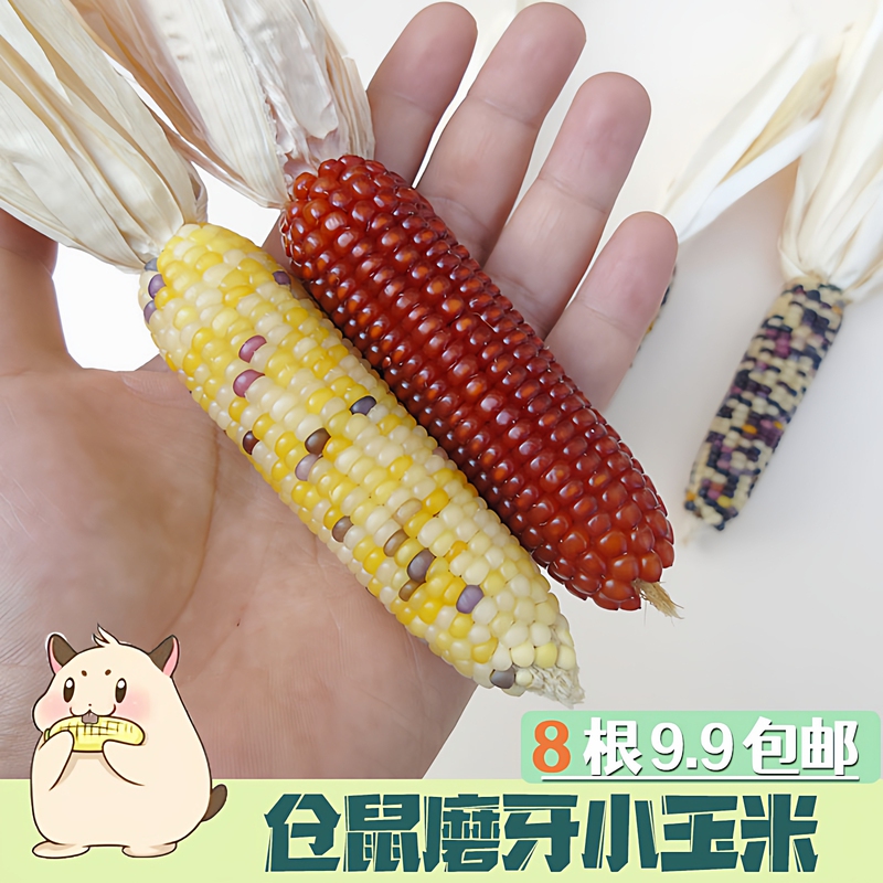 Hamster Teething Corn, Small Corn Teething Stick, Rabbit Boredom-Relief Toy, Snack Supplies, Golden Hamster Food Essential Hamster Teething Corn, Small Corn Teething Stick, Rabbit Boredom-Relief Toy, Snack Supplies, Golden Hamster Food Essential