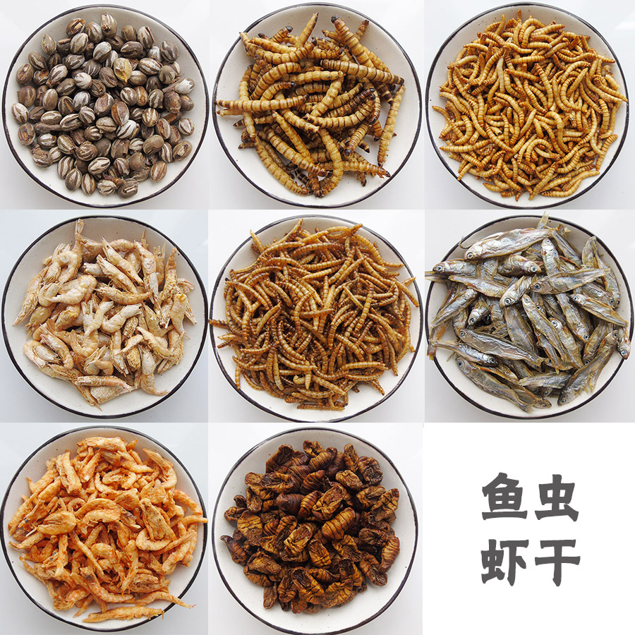 Freeze-dried Bread Worm Antarctic Krill Fish Dry Tank Insect Hamster Flying Squirrel Honey Bag Hedgehog Squirrel Protein Snacks