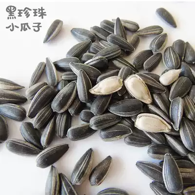 Acorn Home) Black Pearl melon seeds squirrel staple food hamster snack bird food parrot food