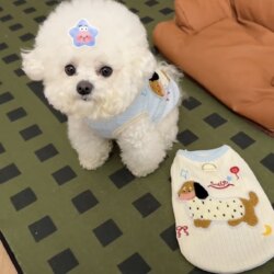 Dog Clothes with Leash, Summer Thin Breathable Cat Anti-Shedding Vest, Small Dog Teddy Cute ins Style