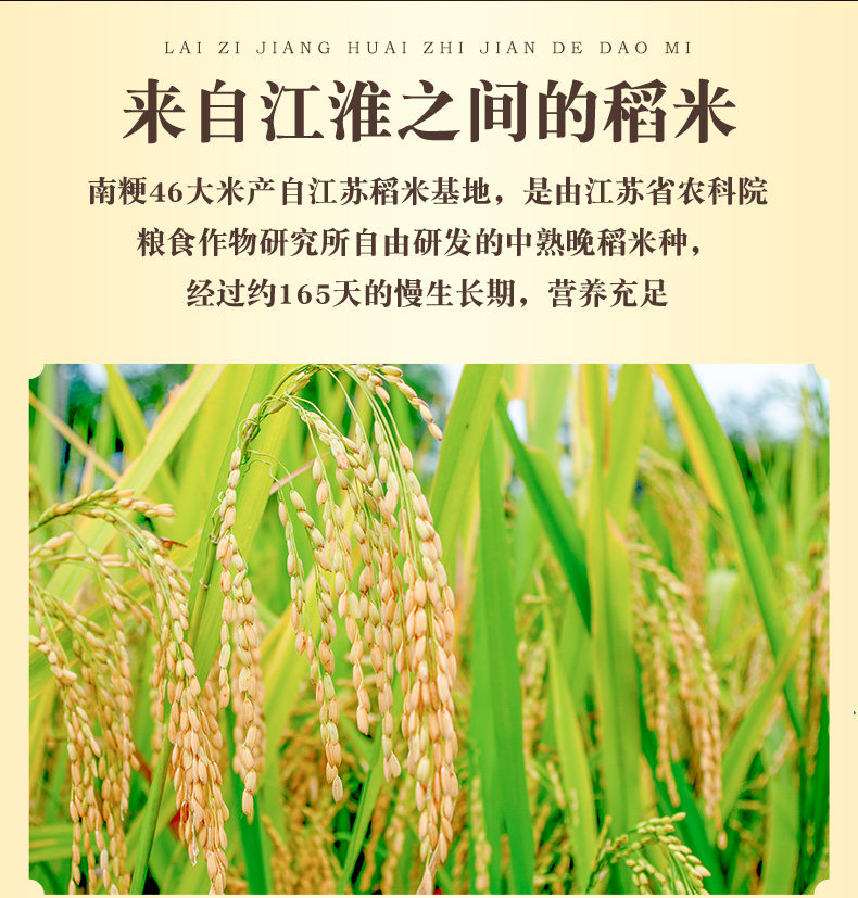 安享好物 安享B级粳米-莘森南粳粳米 国标 