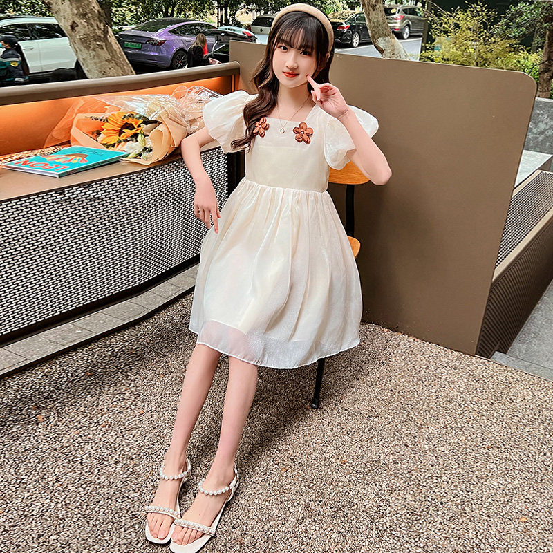 Girls Summer Dress 2023 New Yang Gas Net Skydress Small Small Girl Summer Princess Dress