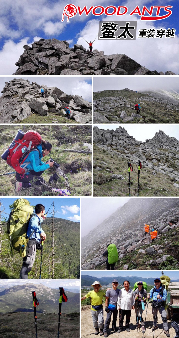Kiến gỗ khóa ngoài trời gấp 7075 nhôm trekking lưu trữ chỉ 37 cm - Gậy / gậy gậy cho người cao tuổi