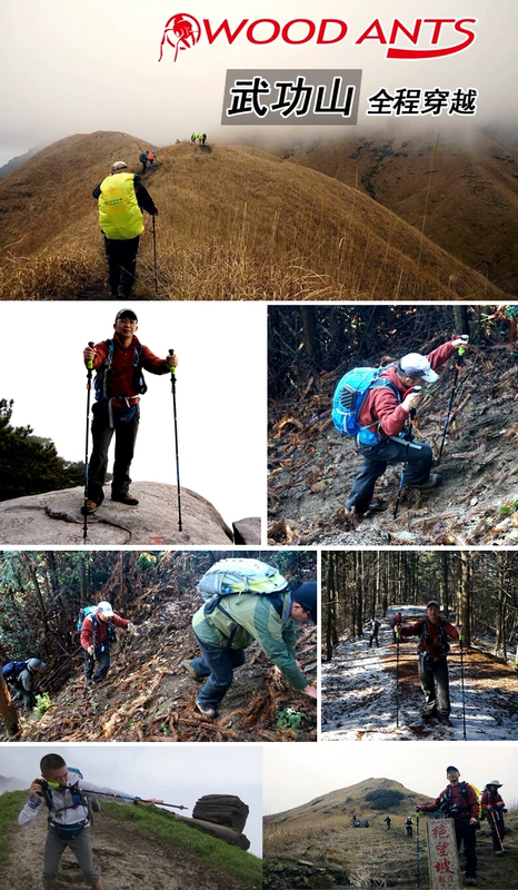 Kiến gỗ khóa ngoài trời gấp 7075 nhôm trekking lưu trữ chỉ 37 cm - Gậy / gậy