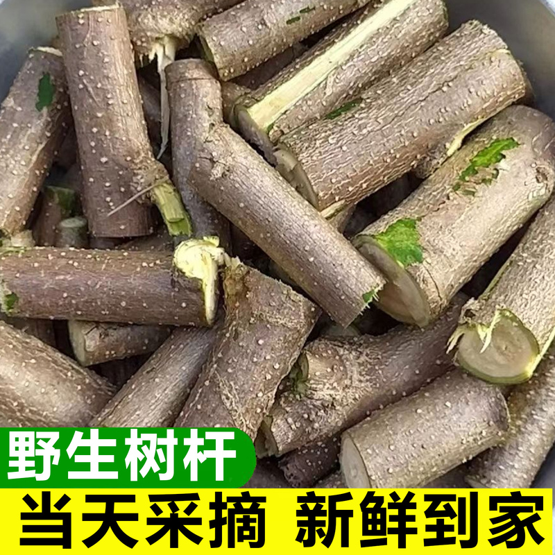 Authentic Fresh Moringa Branches, Moringa Seeds, Moringa Leaves, Moringa Trunks, Moringa Roots, Traditional Chinese Medicine Moringa Leaves Authentic Fresh Moringa Branches, Moringa Seeds, Moringa Leaves, Moringa Trunks, Moringa Roots, Traditional Chinese Medicine Moringa Leaves