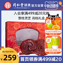 Beijing Tongrentang Ganoderma lucidum gift box 300g whole branch Linzhi can be beaten powder cut Ganoderma lucidum dry goods