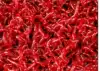 Extra large live bait Extra large live red worm mother pull bait Live fresh red worm Frozen fresh