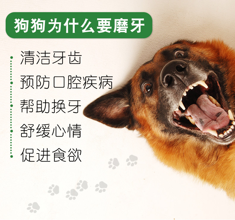Xương lớn chó cưng mol mol chó chó lớn Teddy Jie răng xương chó nhai chó ăn vặt - Đồ ăn vặt cho chó cám cho chó con