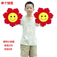 Чай улун Да Хун Пао на солнечной энергии, 30см