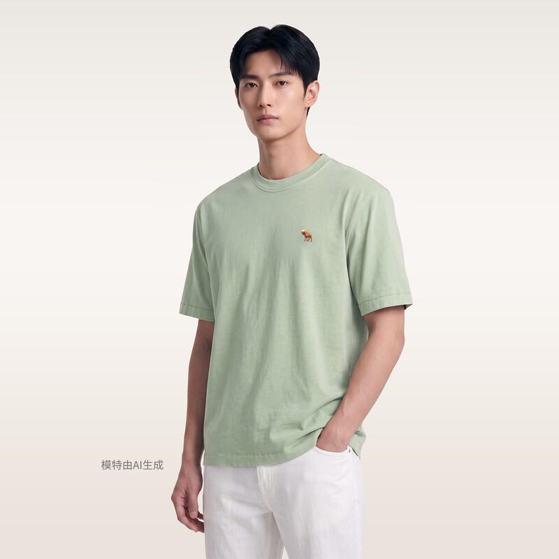 Футболка Abercrombie & Fitch травяно-зеленая, XXL