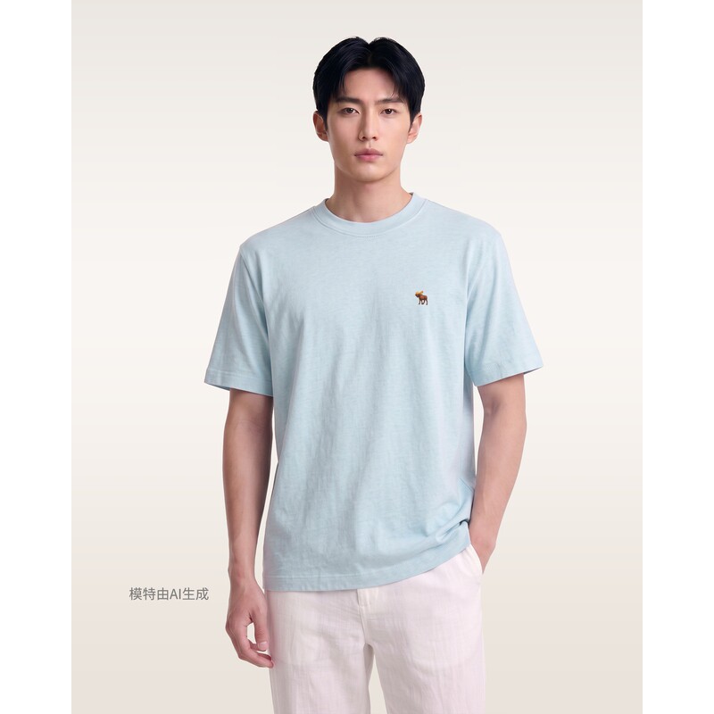 Футболка Abercrombie & Fitch небесно-голубая, XS