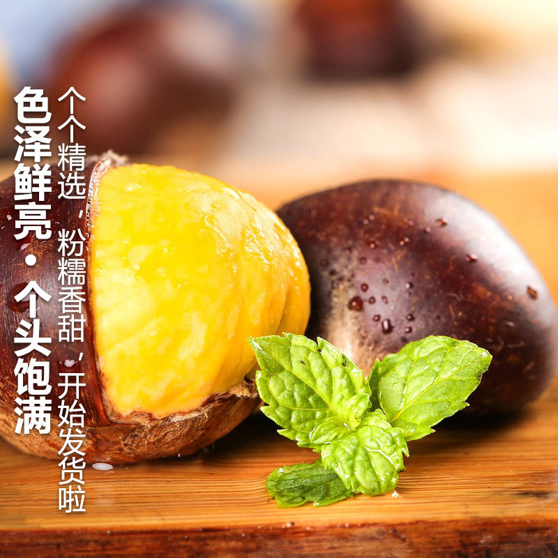 新鲜大板栗生栗子5斤为何被称为丹东嫩毛粟子中的佼佼者?-新鲜板栗板栗仁-淘宝好物网