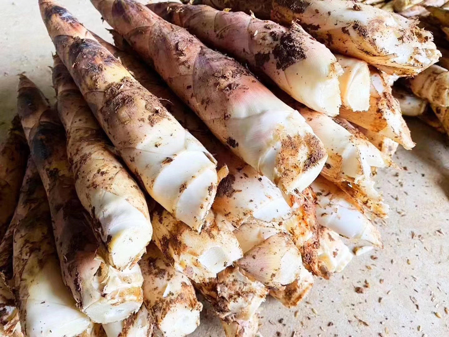 Zhejiang now digs fresh and sweet fresh white powder shell boutique tender bamboo shoots large Thunder bamboo shoots Big Thunder bamboo shoots farm wild natural ingredients