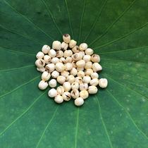 Qiangqiang cousin Shaoxing specialty farm sulfur-free fresh core lotus seed dry goods 500g