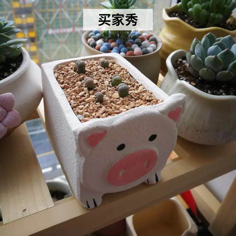 Express cartoon fleshy flowerpot creative move ceramic animal combination potted plant size flowerpot platter