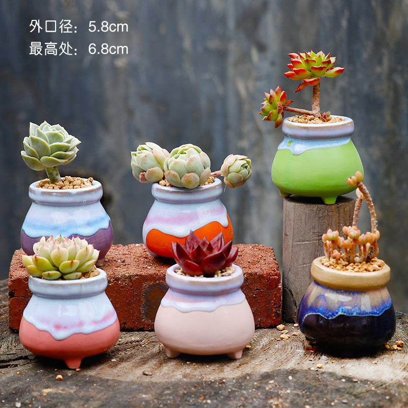 Jingdezhen Korean cream small contracted fleshy flower POTS in the large basin of creative move, fleshy, lovely wholesale