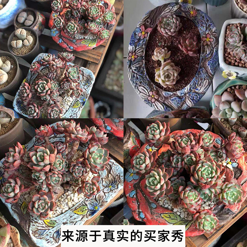 Creative delay xi hand - made fleshy flower pot through pockets pottery decorated character modelling spread of the big flower pot