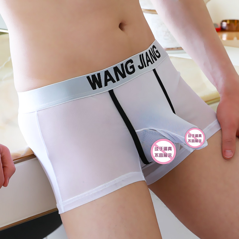 Men's Underwear Men's Gun Shells Separation Ice Silk Summer Mesh Yarn Transparent Sexy Trendy Personality Elephant Nose Four Corner Pants