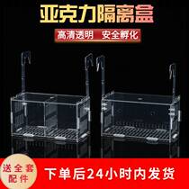 Fish tank hydroponic plant fixed rack water plant planting cup grass tank landscaping basin acrylic large box planting basket wall hanging