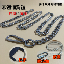 Stainless Steel Dog Chain Sub Iron Chain Metal Traction Rope Gold Maud Dog Chain Small Mid Sized Dog Bolt Dog Rope