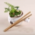 Micro cảnh trang trí làm vườn thịt Công cụ DIY tưới nước có thể đất nung chén bàn chải thịt da thổi chậu cung cấp tưới nước có thể dung cu lam vuon Nguồn cung cấp vườn