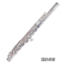 Taiwan ESSENCE WORLD flute ESFE-313 315 317 318