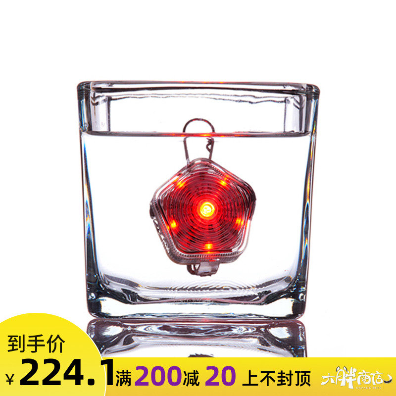 Big fat store USA RW Lovell big light Dog anti-loss safety light Waterproof LED three-color light