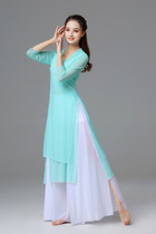 Classical dance practice clothes female elegant Chinese style modern dance performance clothes body rhyme gauze wide-leg dance suit