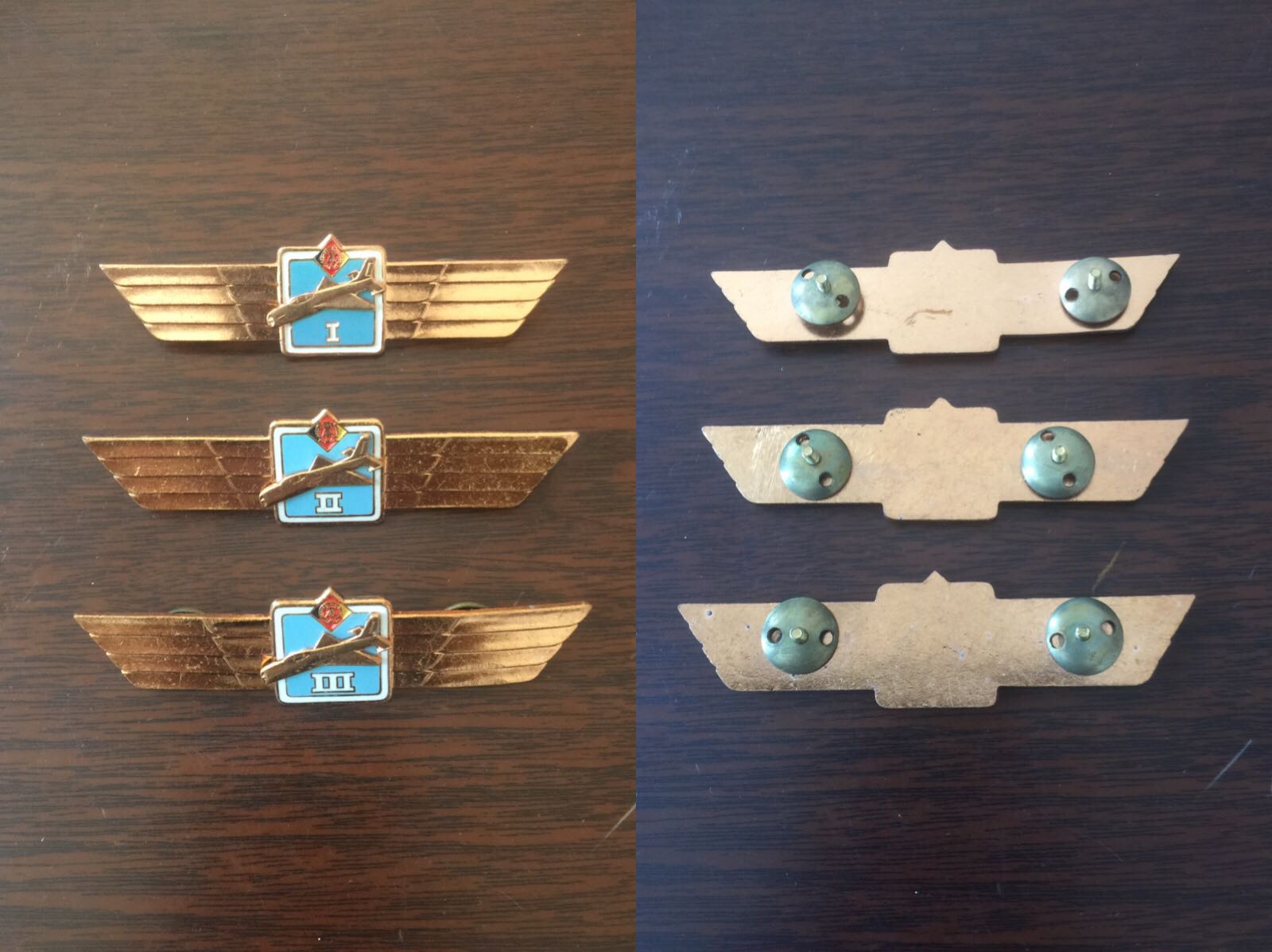 Set of flight badges of the GDR East German Airlords of the German Democratic Republic