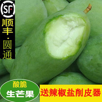 Now pick Guangxi raw mango crisp green mango fruit acid fruit acid in the season fresh pregnant woman