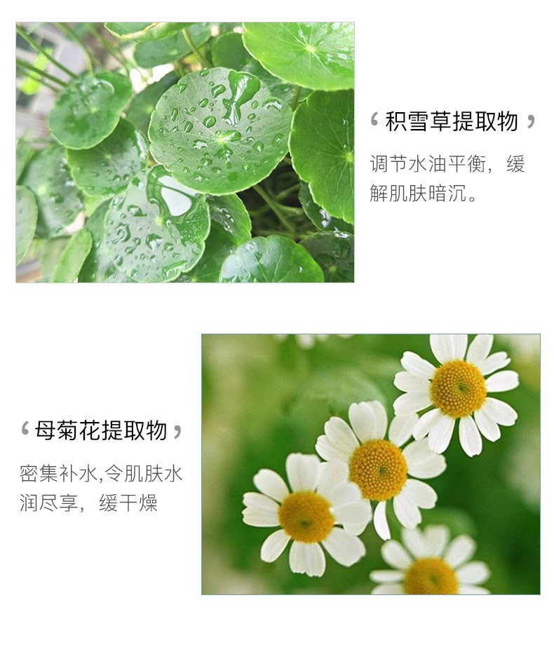 Miếng thứ hai của mặt nạ nước biển 0 nhân nho biển hydrating làm sáng màu da Nhật Bản nhập khẩu nguyên liệu 10 / hộp - Mặt nạ kem trắng da mặt