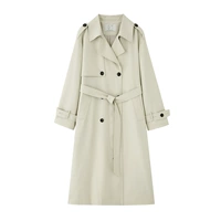 Рис -серый пятно