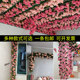 Simulation rose fake flower rattan living room air-conditioning pipe cover decorative heating winding plastic ceiling vines