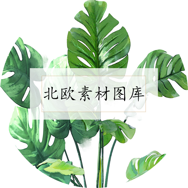 北欧素材图库 供购买屏风选图专用 不属于购买品 拍下不发货