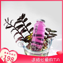 Tiefengtang Dendrobium officinale juice 1 box 6 bottles net red drink Tanabata for dear TA SF