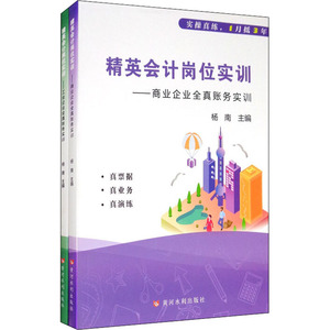 精英会计岗位实训(全2册) 杨南 编 经管、励志 会计 会计 新华书店正版图书籍黄河水利出版社
