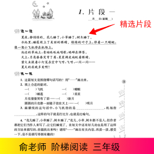 2021年春3年级下小学语文5·3天天练人教版+小学语文新课标阶梯阅读训练 3年级 第5版南 曲一线 编 等 小学教辅文教