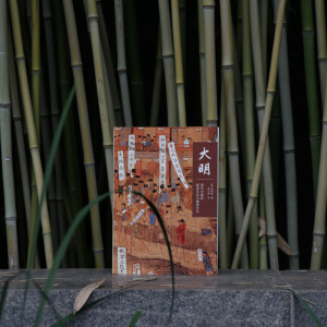 大明 明代中国的视觉文化与物质文化 (英)柯律格 社科 中国通史 新华书店正版图书籍生活读书新知三联书店