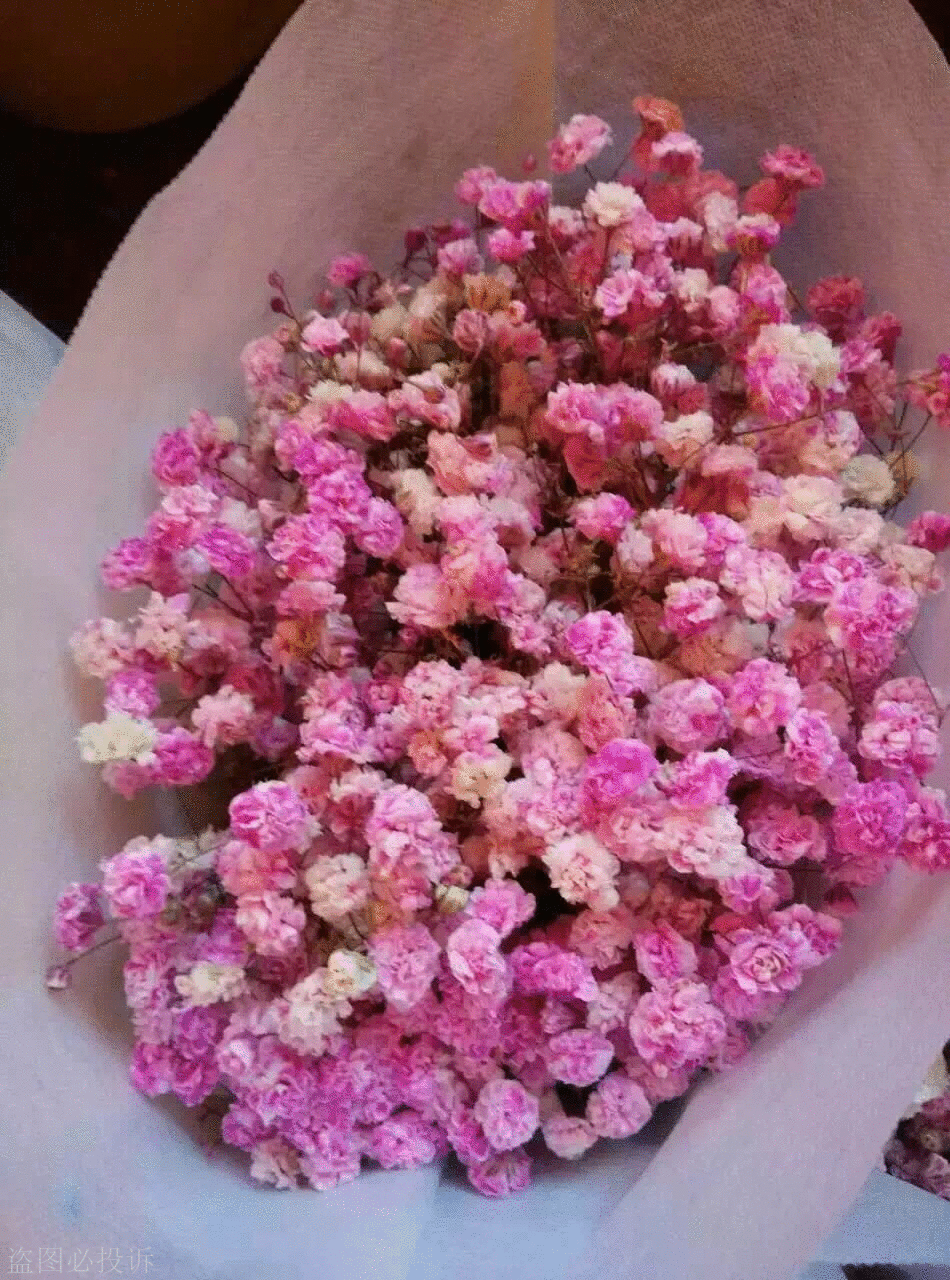 花店用品资材 满天星鲜花喷色剂蓝色妖姬染料七彩玫瑰染色剂 包邮