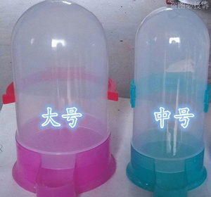 自动喂鸟食器\/下料器\/鸟用饮水器\/水壶水缸鸟用